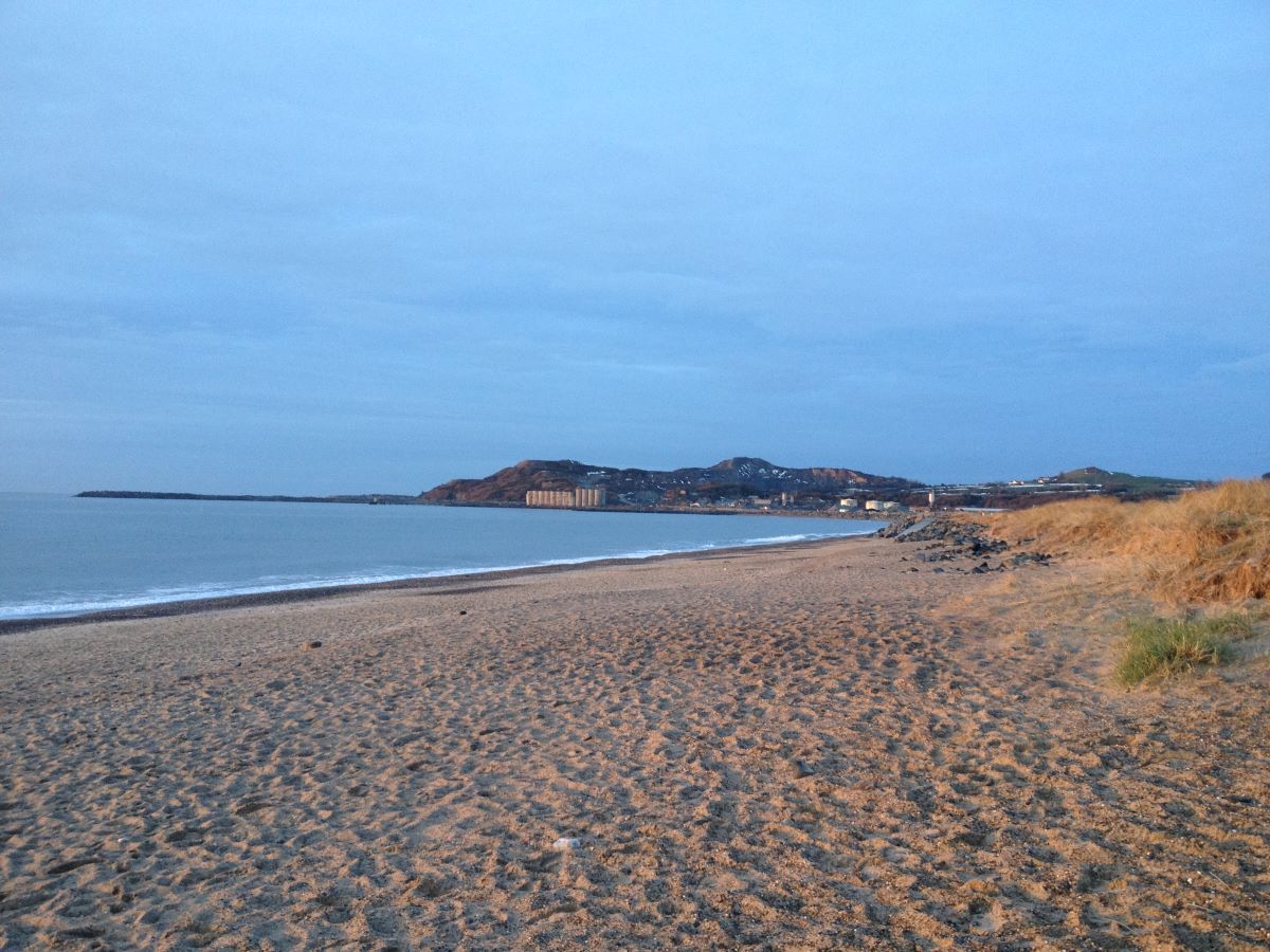 Arklow Rock seen from south beach